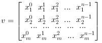 v = \begin{bmatrix} x_1^0 \ \ x_1^1 \ \ x_1^2 \ \ ... \ \ x_1^{n-1} 
                \\ x_2^0 \ \ x_2^1 \ \ x_2^2 \ \ ... \ \ x_2^{n-1}
                \\ ... \ \ ... \ \ ... \ \ ... \ \ ...
                \\ x_m^0 \ \ x_m^1 \ \ x_m^2 \ \ ... \ \ x_m^{n-1}  \end{bmatrix}